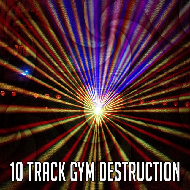 Couverture de 10 Track Gym Destruction