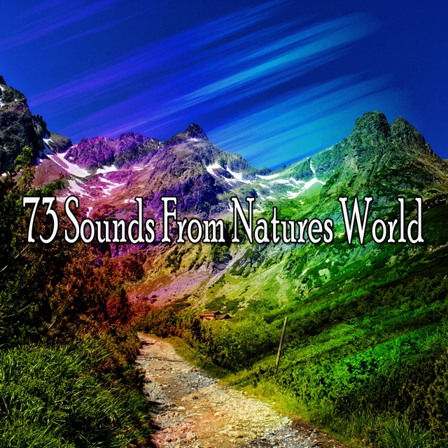 73 Sounds From Natures World