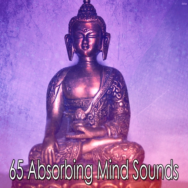 Couverture de 65 Absorbing Mind Sounds