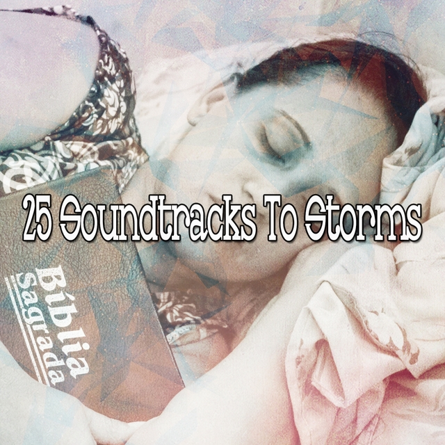 Couverture de 25 Soundtracks To Storms