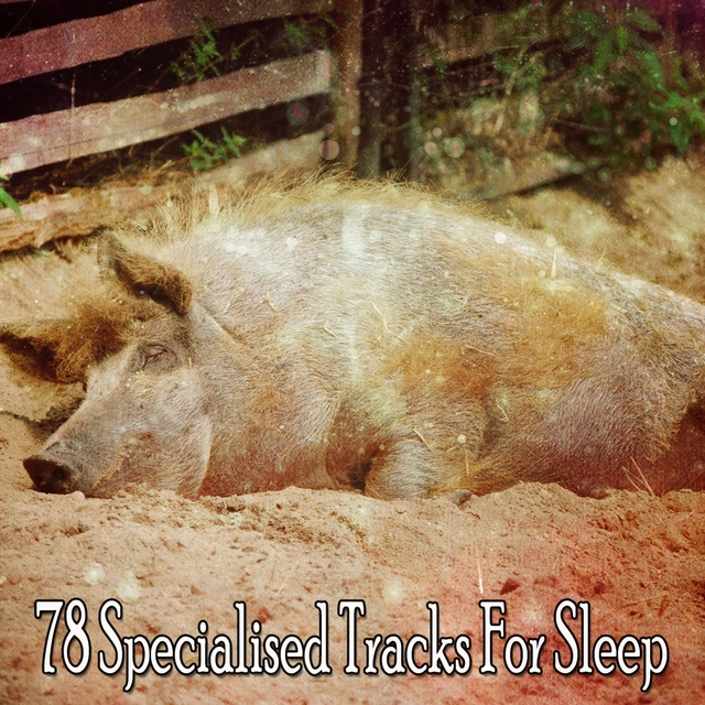 78 Specialised Tracks For Sleep