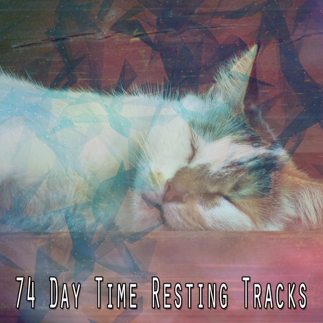 74 Day Time Resting Tracks