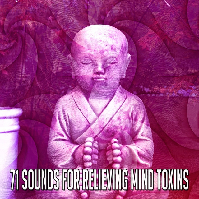 Couverture de 71 Sounds For Relieving Mind Toxins