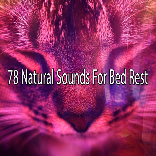 78 Natural Sounds For Bed Rest