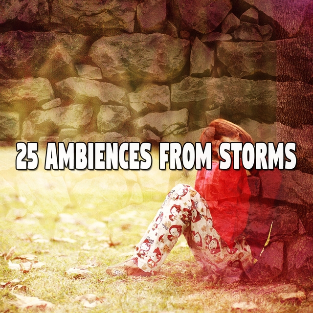 25 Ambiences From Storms