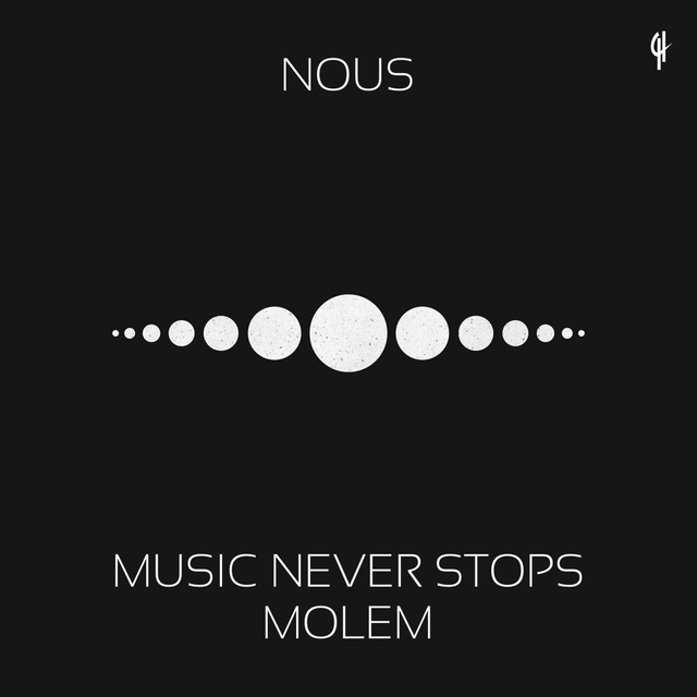 Couverture de Music Never Stops