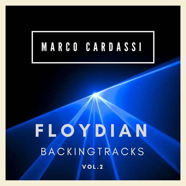 Couverture de Floydian Backing Tracks, Vol. 2