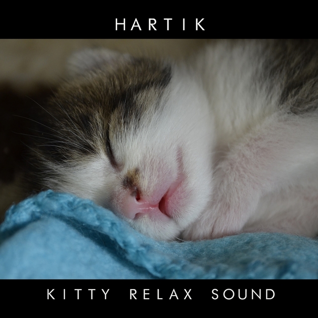 Kitty relax sound