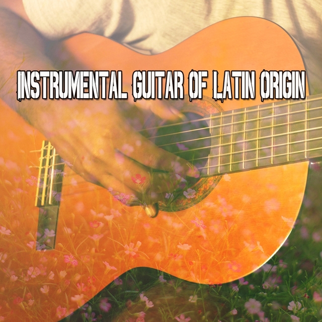 Couverture de Instrumental Guitar Of Latin Origin