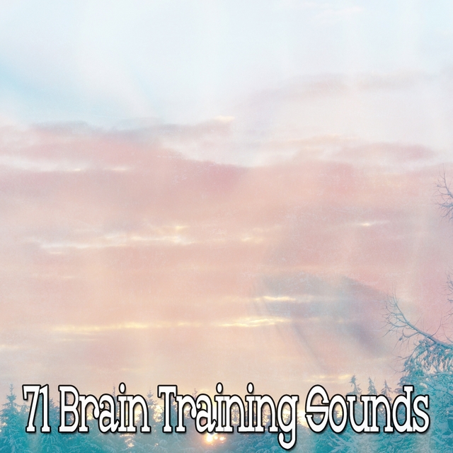 Couverture de 71 Brain Training Sounds