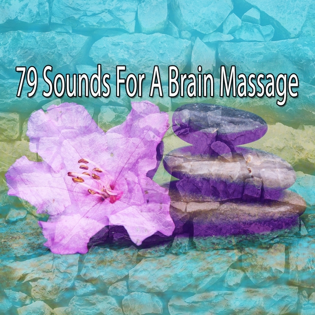 Couverture de 79 Sounds For A Brain Massage