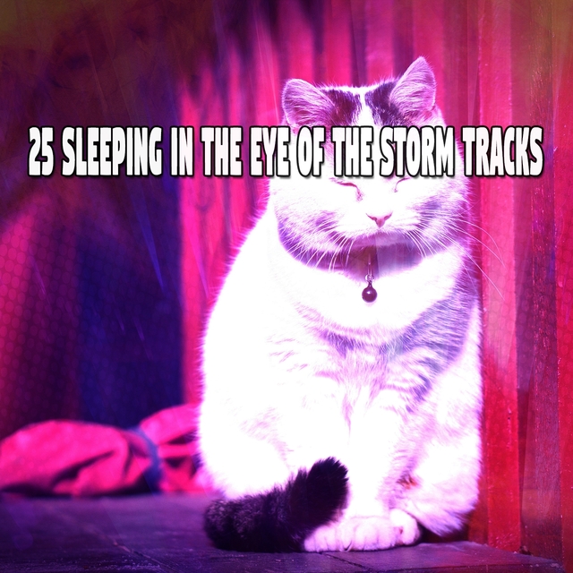 25 Sleeping In The Eye Of The Storm Tracks