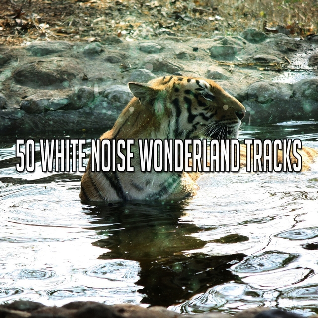 Couverture de 50 White Noise Wonderland Tracks