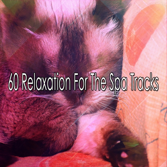 60 Relaxation For The Spa Tracks