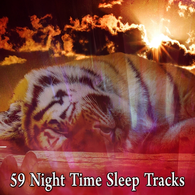 59 Night Time Sleep Tracks