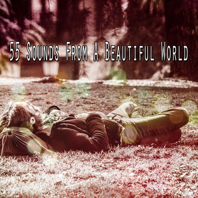 55 Sounds From A Beautiful World