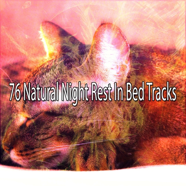 Couverture de 76 Natural Night Rest In Bed Tracks