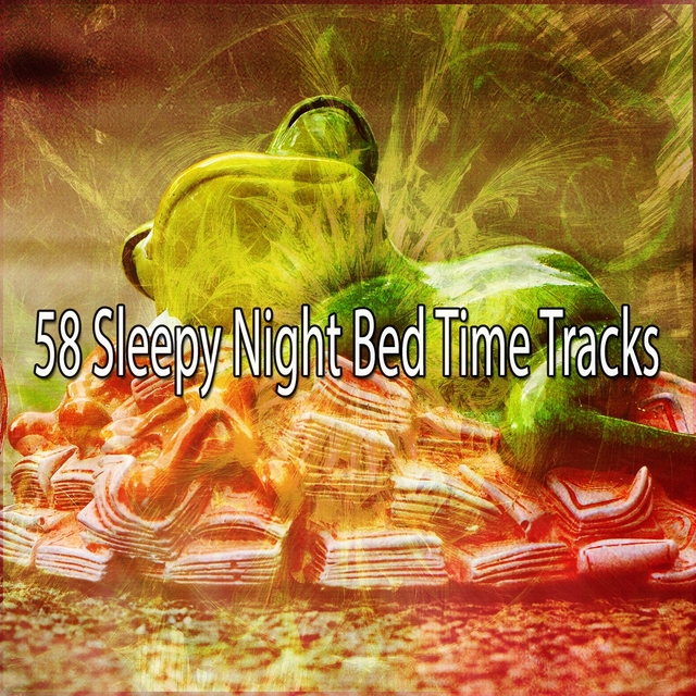 Couverture de 58 Sleepy Night Bed Time Tracks