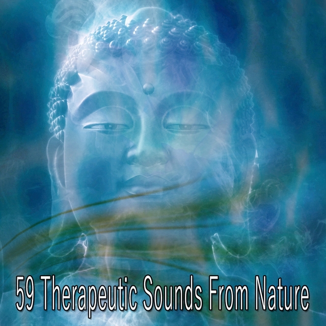 Couverture de 59 Therapeutic Sounds From Nature