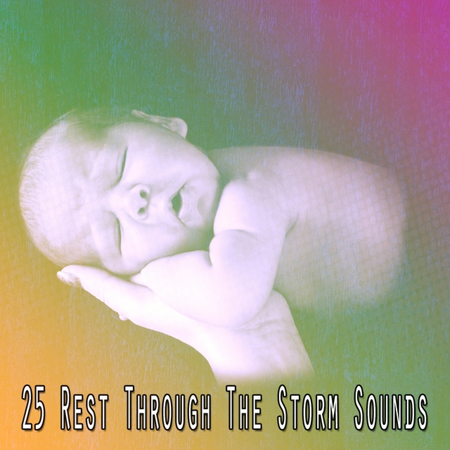 Couverture de 25 Rest Through The Storm Sounds