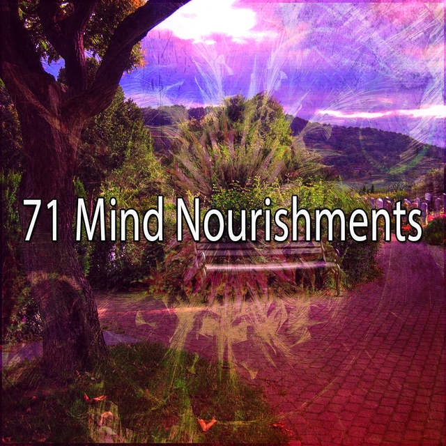 Couverture de 71 Mind Nourishments