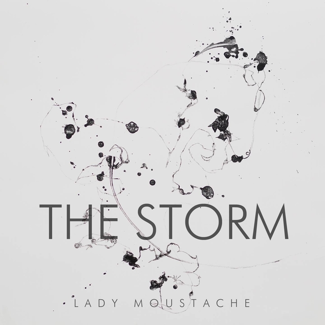 Couverture de The Storm