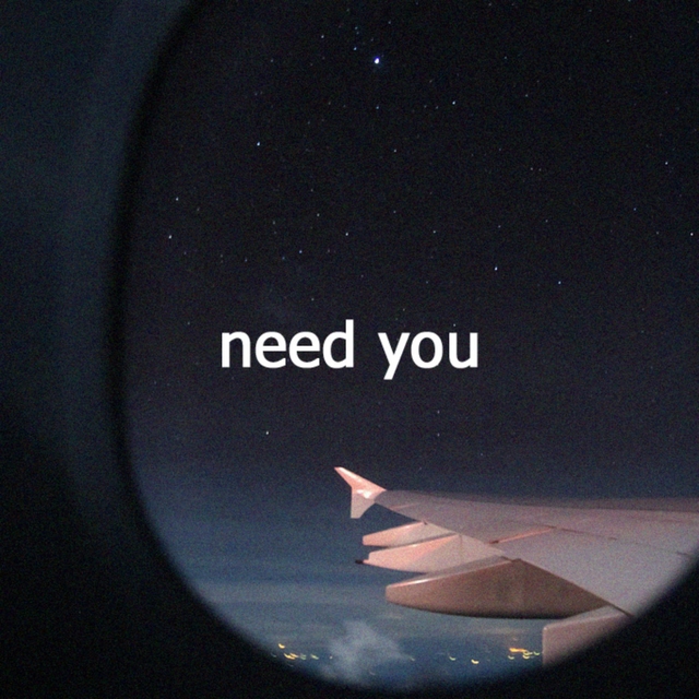 Couverture de Need You