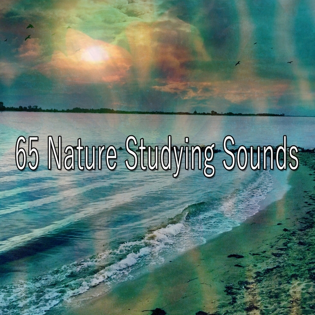 65 Nature Studying Sounds