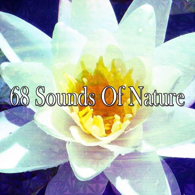 Couverture de 68 Sounds Of Nature