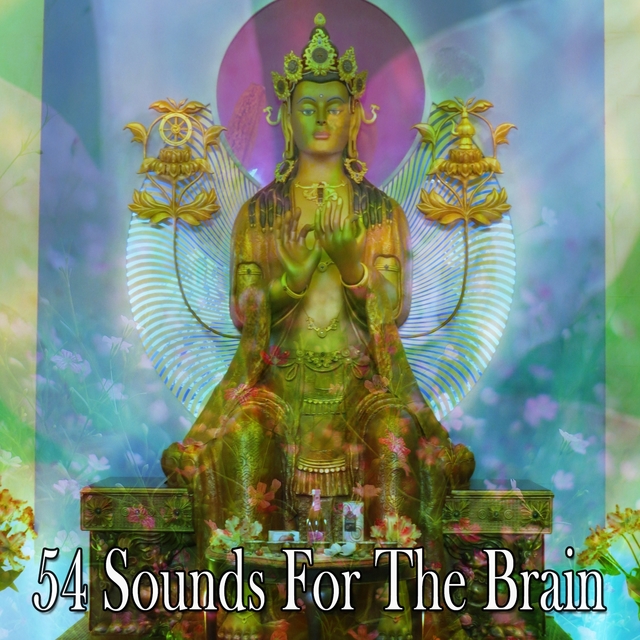 Couverture de 54 Sounds For The Brain