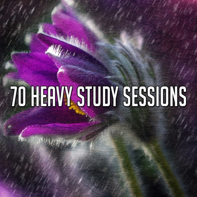 Couverture de 70 Heavy Study Sessions