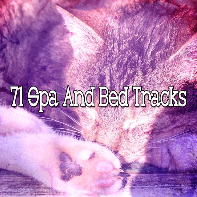 Couverture de 71 Spa And Bed Tracks