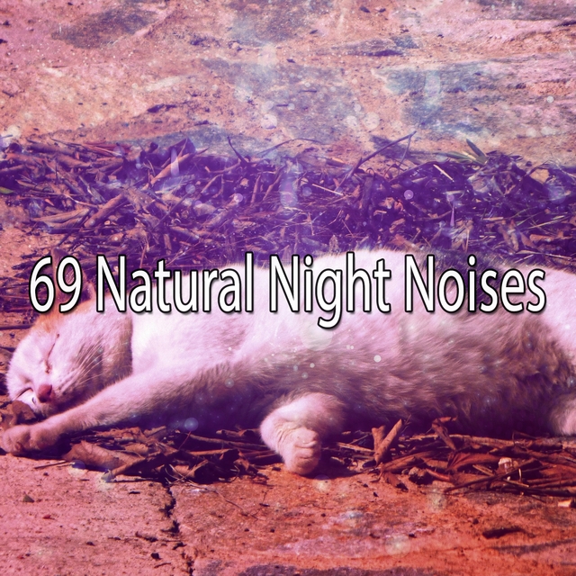 69 Natural Night Noises