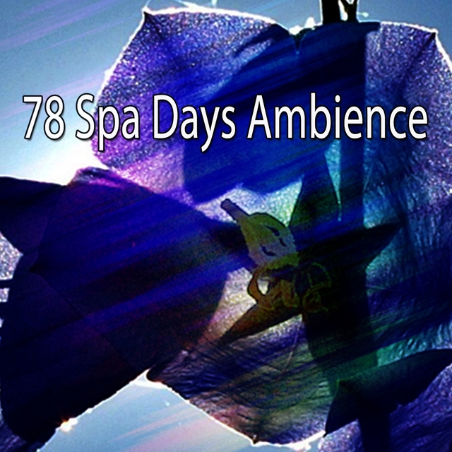 78 Spa Days Ambience