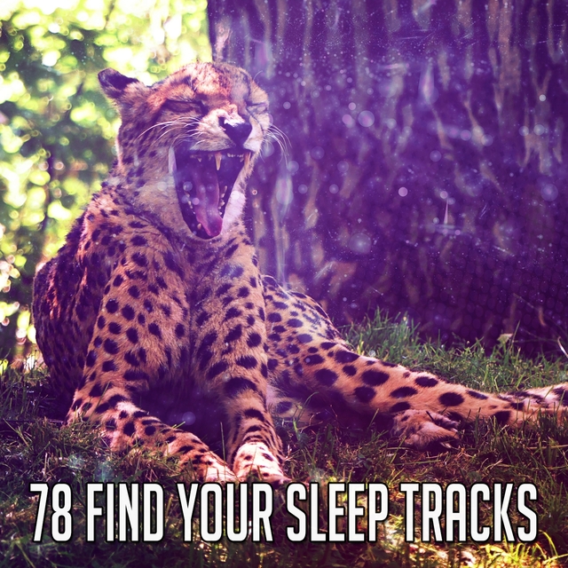 Couverture de 78 Find Your Sleep Tracks