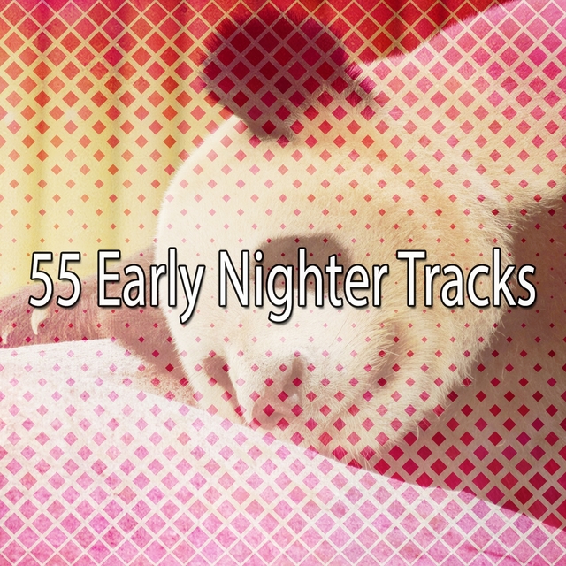 Couverture de 55 Early Nighter Tracks