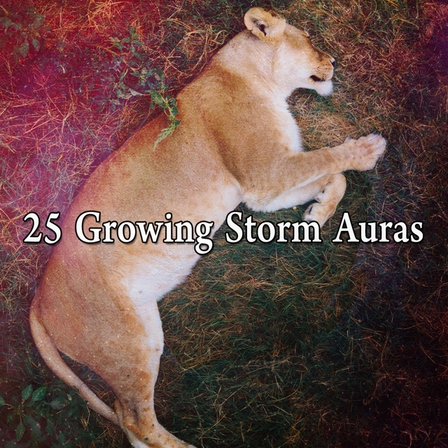 25 Growing Storm Auras