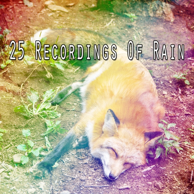 25 Recordings Of Rain