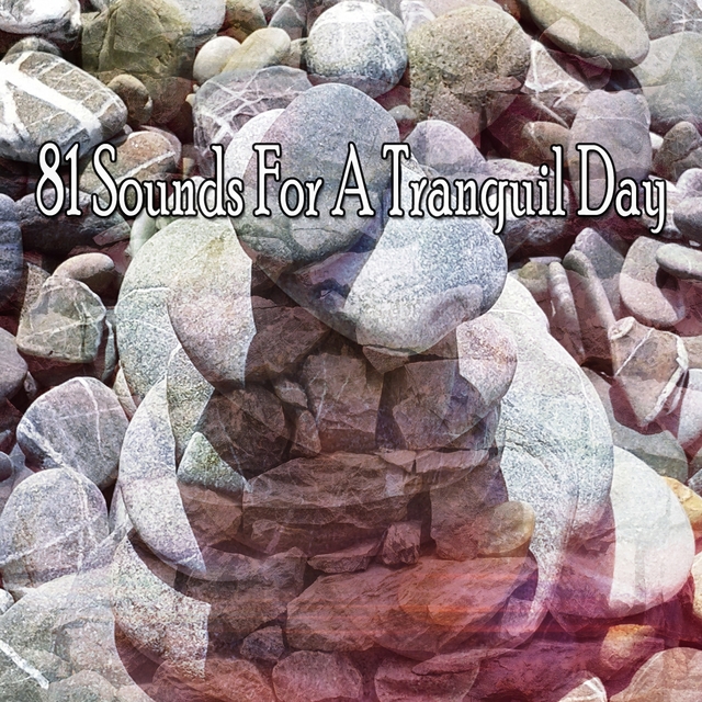 81 Sounds For A Tranquil Day