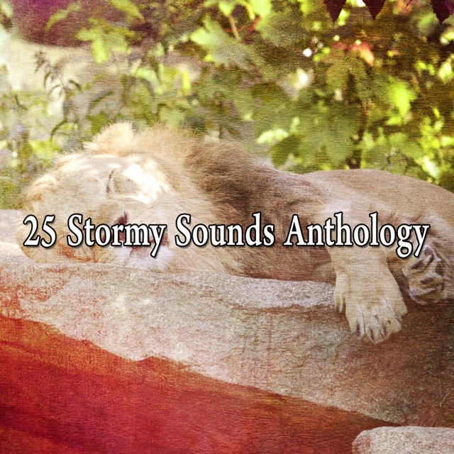 25 Stormy Sounds Anthology