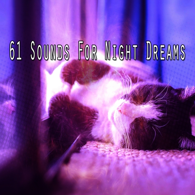61 Sounds For Night Dreams