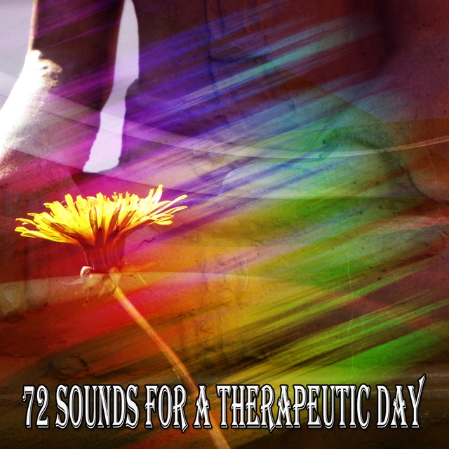 Couverture de 72 Sounds For A Therapeutic Day