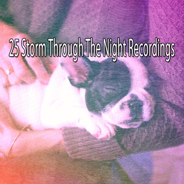 25 Storm Through The Night Recordings
