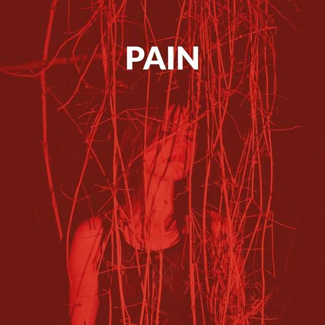 Couverture de PAIN