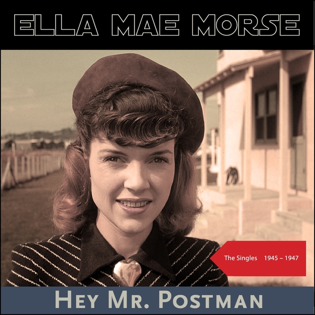 Couverture de Hey Mr. Postman