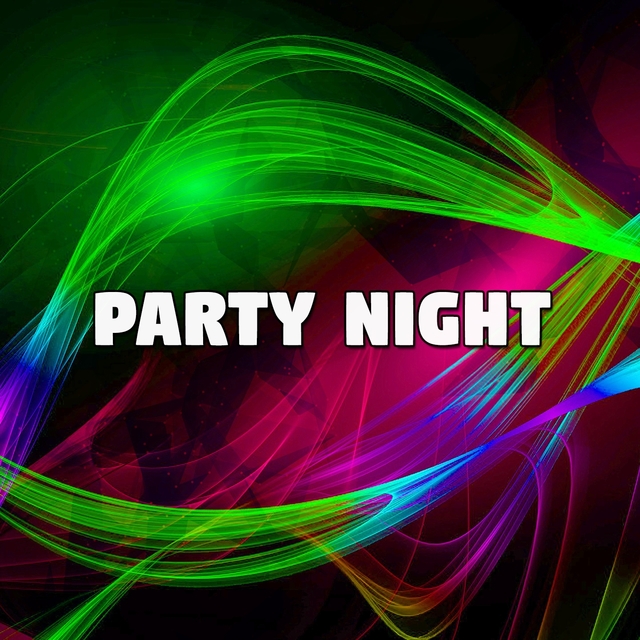 Couverture de Party Night