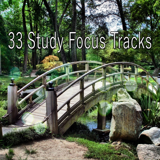 33 Study Focus Tracks