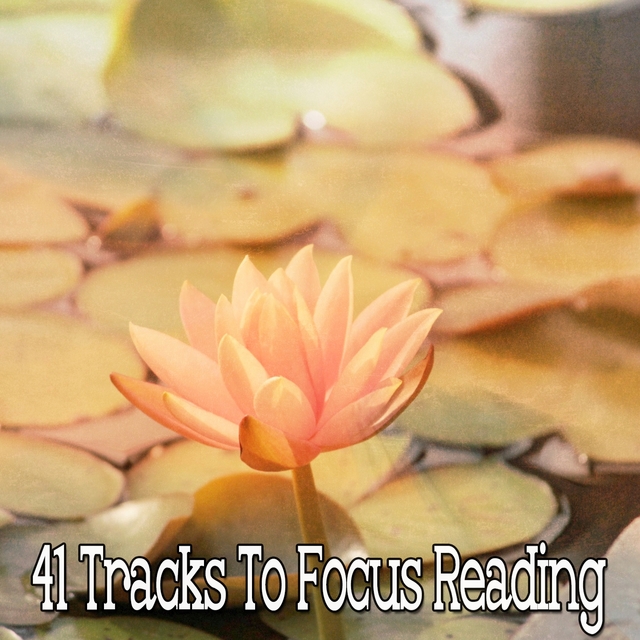 Couverture de 41 Tracks To Focus Reading