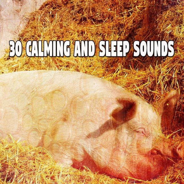 Couverture de 30 Calming And Sleep Sounds