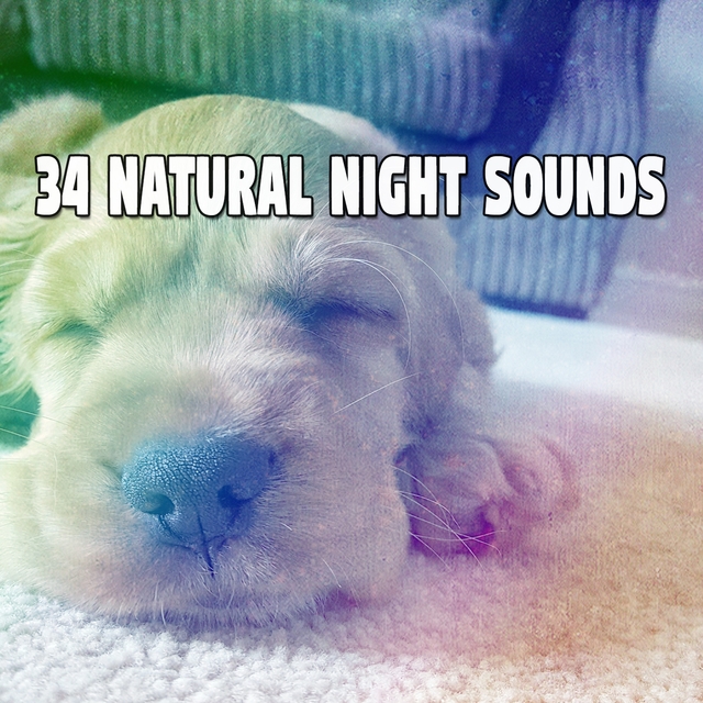 Couverture de 34 Natural Night Sounds